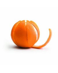Caja de 6 uds de Pelador De Naranjas Acero Inoxidable Ibili 731300